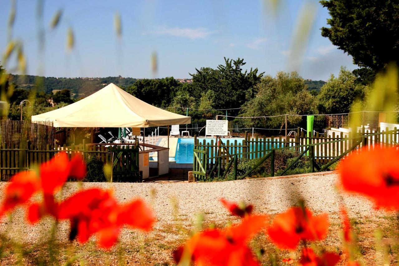 Il Belvedere Country Alojamento de Turismo Rural