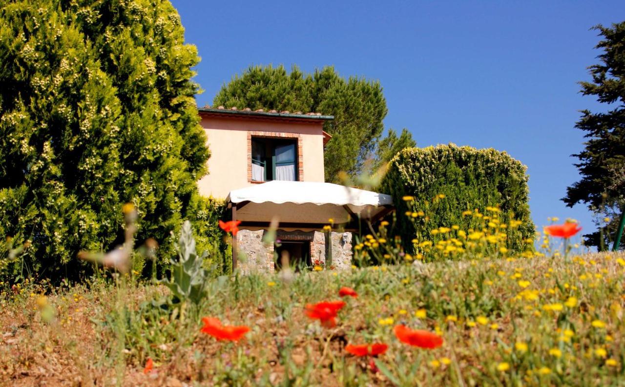Il Belvedere Country * Massa Marittima